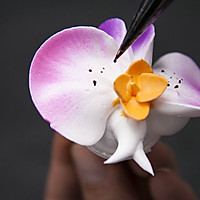 裱花师花卉技艺--蝴蝶兰的做法图解7