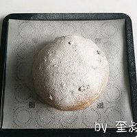 黑糖红枣软欧的做法图解7