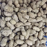 高压锅水煮花生的做法图解6