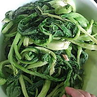 腌酸菜的做法图解4