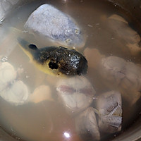 白汁豆腐河豚鱼汤的做法图解3