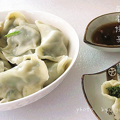 茴香饺子