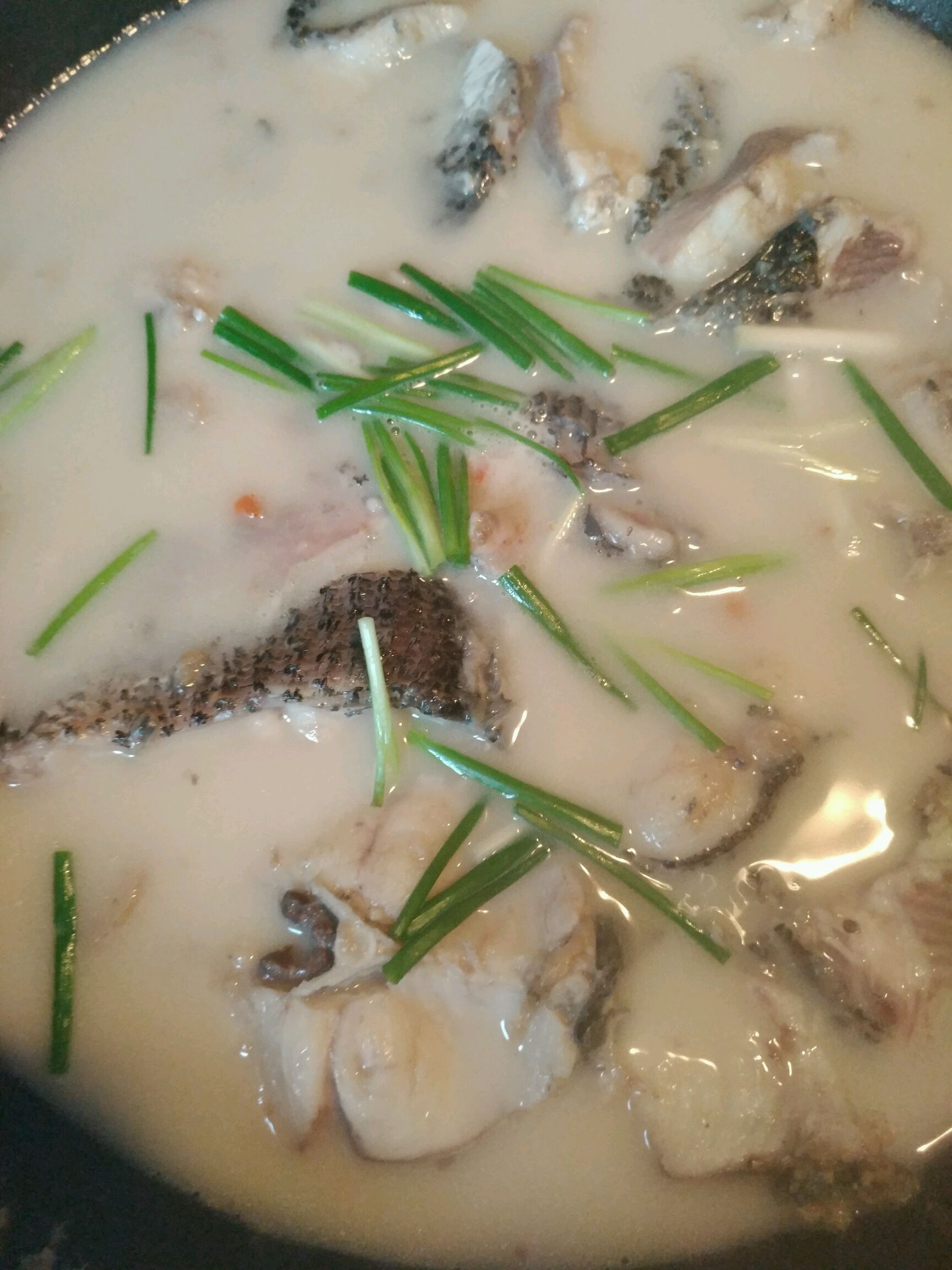 清炖财鱼汤怎么做_清炖财鱼汤的做法_豆果美食