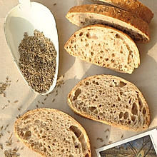 5分钟面包(3)-粗黑麦面包Pumpernickel Bread