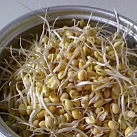 炒豆芽的做法图解1