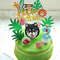 宠物生日蛋糕的做法图解11