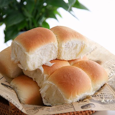 波兰种小餐包