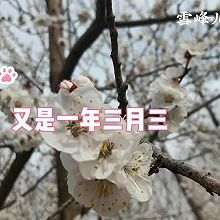 #春天的鲜味#三月三荠菜花煮鸡蛋