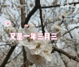 #春天的鲜味#三月三荠菜花煮鸡蛋