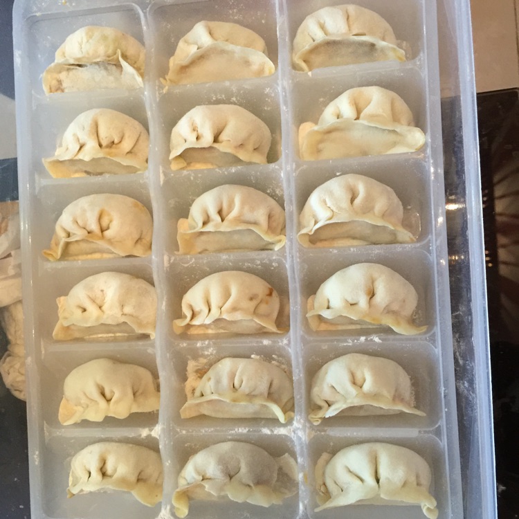 羊肉水萝卜饺子的做法图解8
