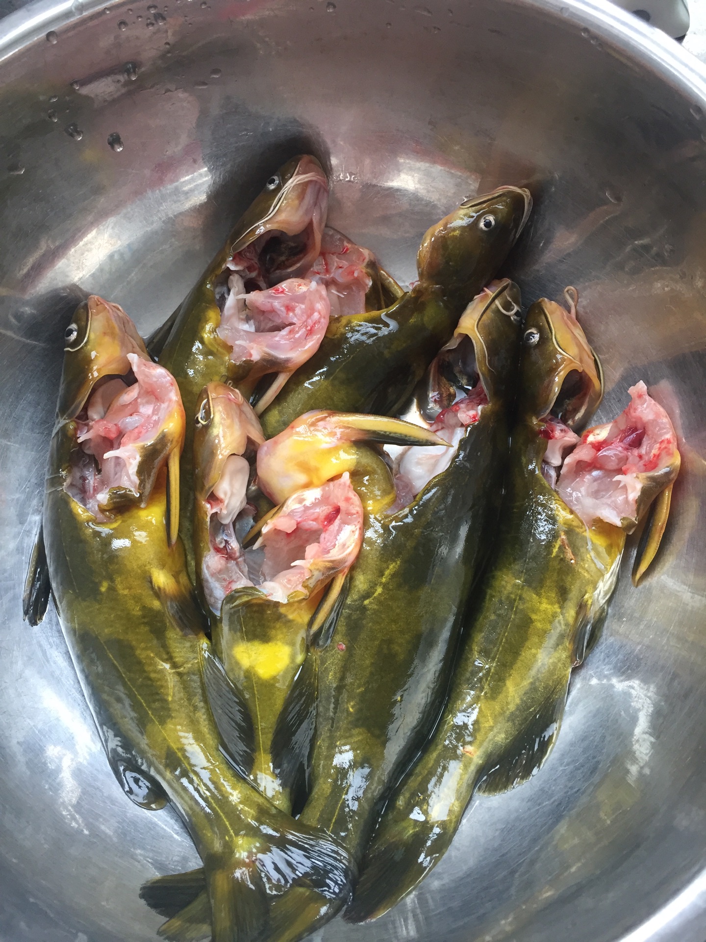 黄颡鱼5种最好吃的做法，简单美味又下饭，看看你喜欢吃哪种？ - 知乎