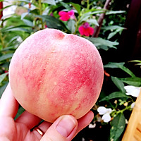 夏日高颜值清爽小食-紫苏桃子姜的做法图解1