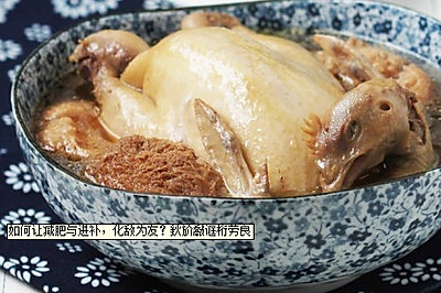 黑茶炖土鸡