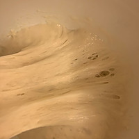 火龙果提子乳酪肉松软欧包(波兰种)的做法图解1