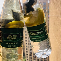 柠檬红茶（超方便，媲美维他柠檬茶）的做法图解3