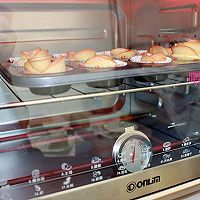 东菱电子烤箱『爱的苹果花』的做法图解11