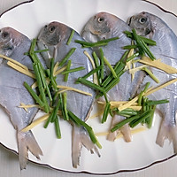 清蒸鲳鱼｜鲜美可口｜丰富餐桌味的做法图解3