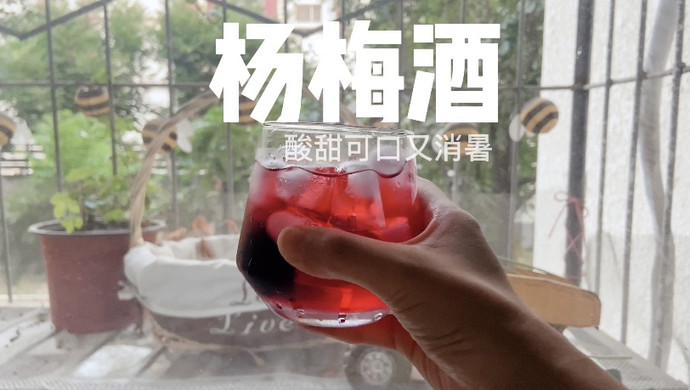自制杨梅酒