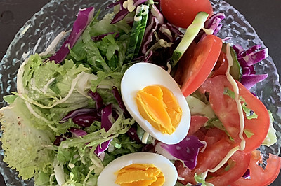 轻食-蔬菜沙拉