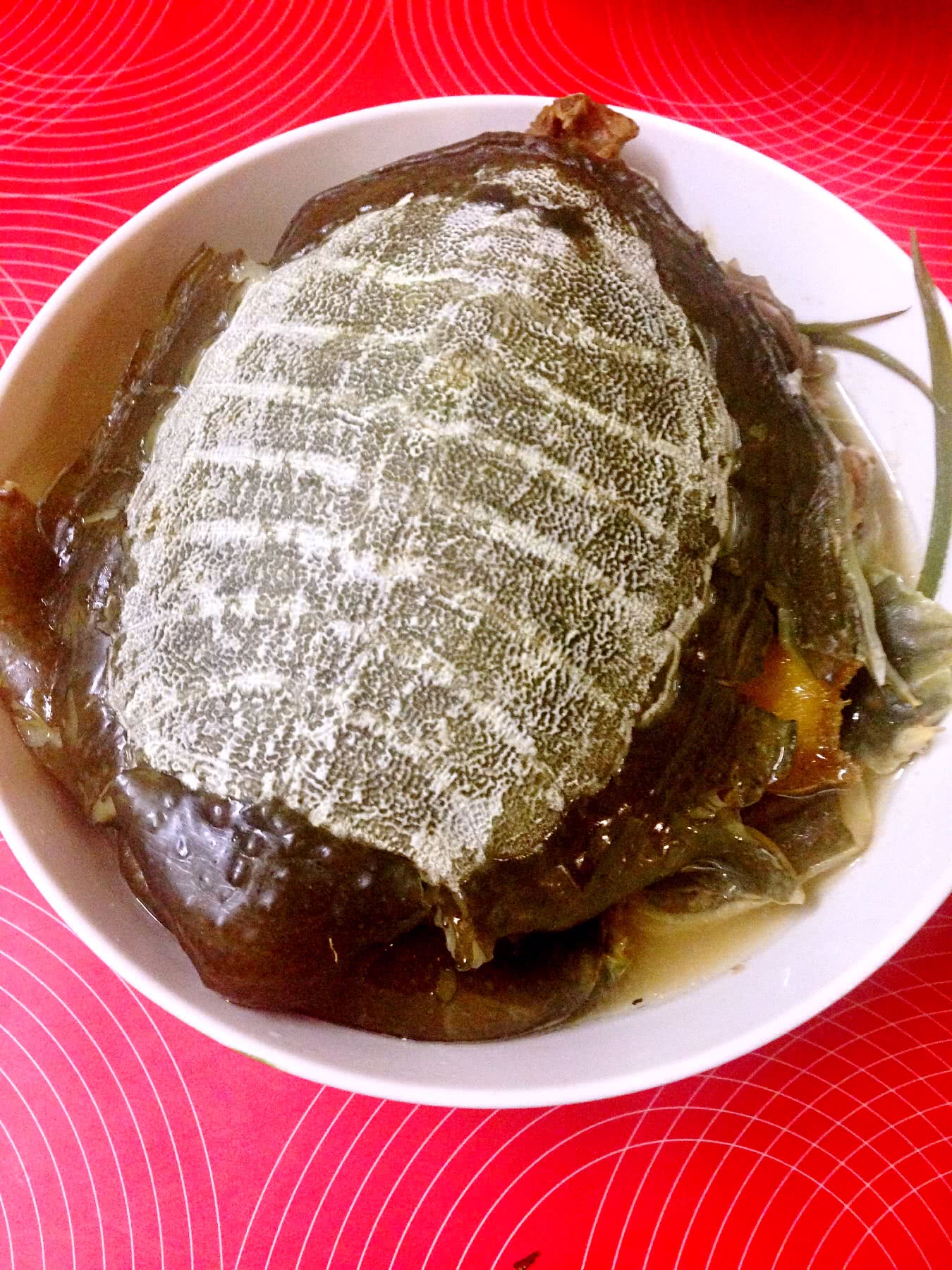红烧甲鱼怎么做_红烧甲鱼的做法_戚厨小馆_豆果美食