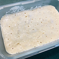 法式传统法棍✷波兰种的做法图解4