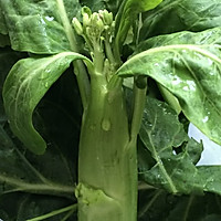 凉拌上海芥蓝的做法图解1