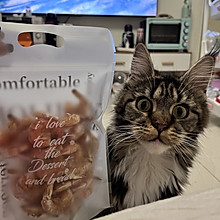 「超简单」把猫猫都馋哭的虾干！
