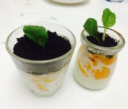 芒果盆栽的做法