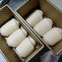 波兰种酸奶土司的做法图解10