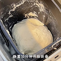 无糖油｜免隔夜发酵高水量波兰种欧包 新手万能配方的做法图解2