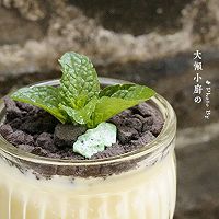 酸奶盆栽#易极优DIY酸奶#的做法图解14
