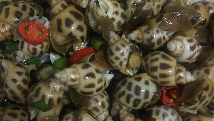 白酌花螺