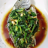 清蒸黑鲷鱼的做法图解10