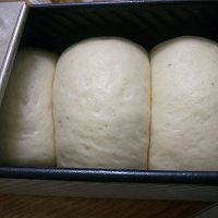 中种吐司面包的做法图解9