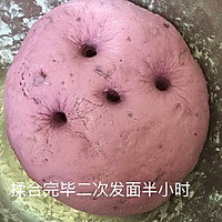 紫薯馒头、玫瑰花紫薯馒头的做法图解5