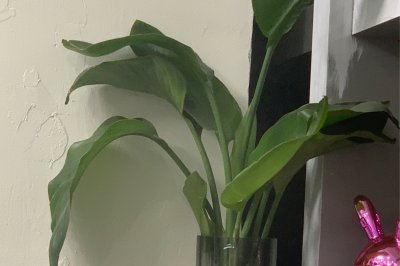 冰糖葫芦