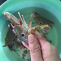 香辣梭子蟹的做法图解1