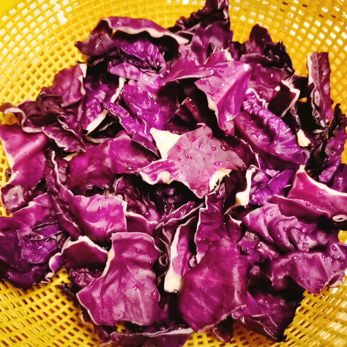 凉拌紫包菜怎么做_凉拌紫包菜的做法_豆果美食