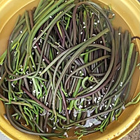 腌制蕨菜的做法图解7