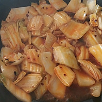大白菜烩烤肉的做法图解4