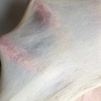 超快手全麦汉堡胚的做法图解2
