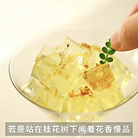 桂花香菊啫喱冻的做法图解6