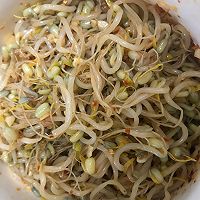 绿豆芽成长记的做法图解13