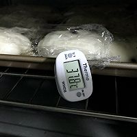 蔓越莓乳酪软欧包（波兰种）的做法图解8