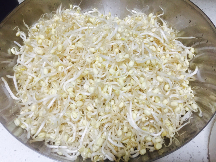绿豆生豆芽的做法