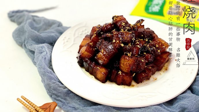 快手红烧肉