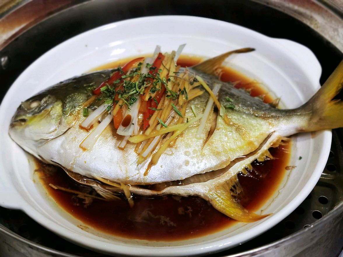 每天认识一种鱼（102）丨金鲳鱼：身披‘金袍’，好吃不贵-搜狐大视野-搜狐新闻