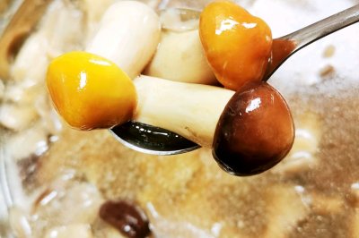 松茸菌炖骨头汤