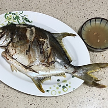 鱼跃餐桌篇—-香煎游水大金苍鱼