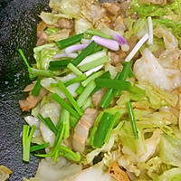 手撕包菜的做法图解7